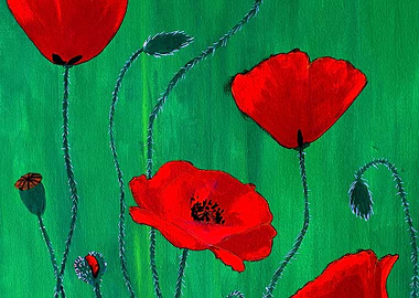 Red Poppies