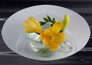 Yellow freesia buds