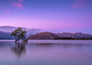 Purple Lake