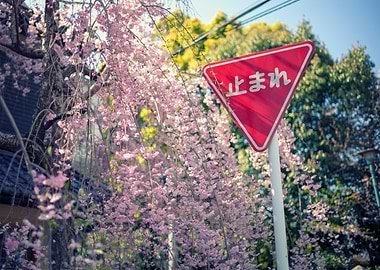 stop sign in japan