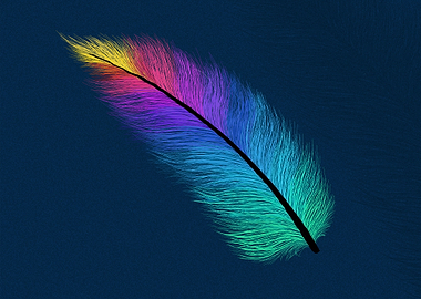 Hand Drawn Feather