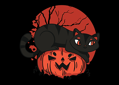 Cat on Pumpkin