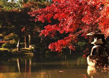 Peaceful Japanese Garden
