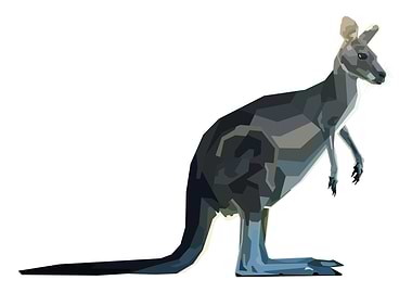 kangaroo on geometric art