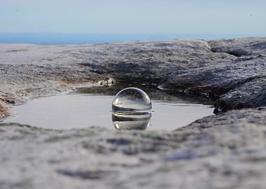 Lens Ball in Puddle