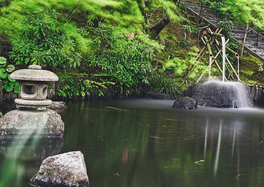 Japanese Zen Garden 1