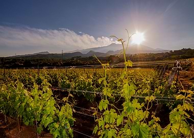 Sunset on Etna valley