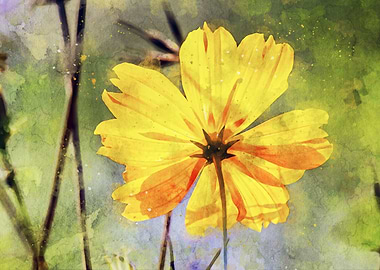 The Yellow Flower