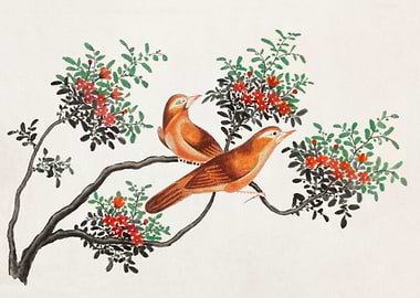 birds of China