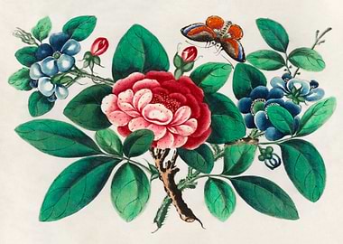 flowers and butterfly