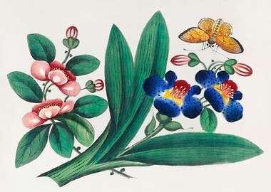 flowers and a butterfly