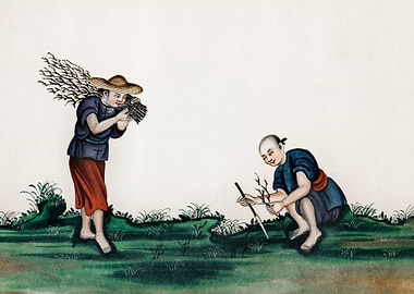 men picking tea bushes