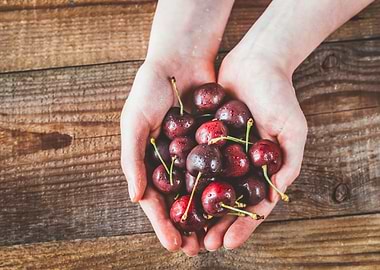 Hands holding cherries