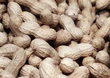 peanuts texture