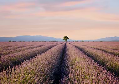 Provence France