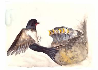 Watercolor Swallow Mother