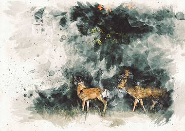 Watercolour pair