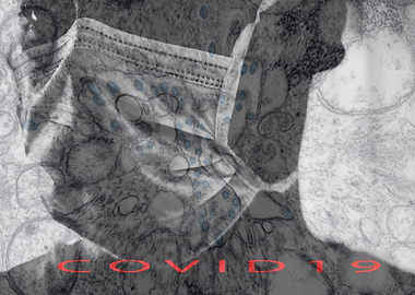 COVID19