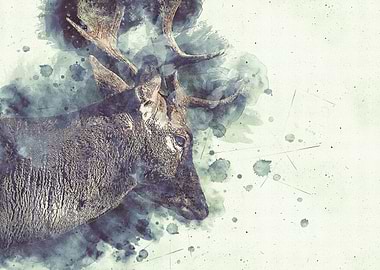 Watercolour stag
