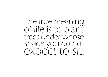 The True Meaning Of Life