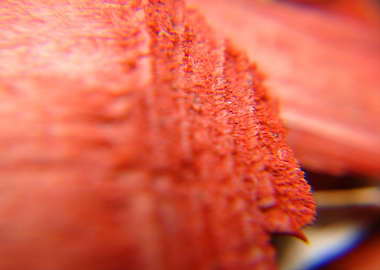 decorative red cut wood