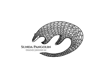 Pangolin with Latin Name