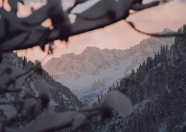 Snowy Sunrise