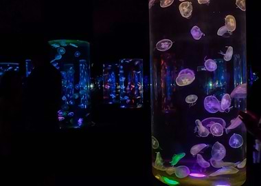 Real colours in the dark