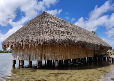 Orininal Polynesian House