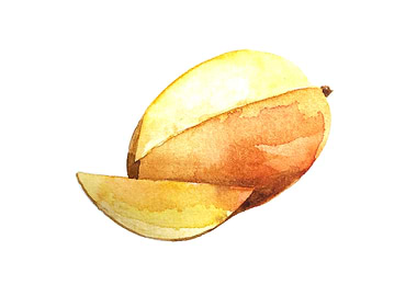 Fruit