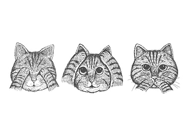3 wise cats