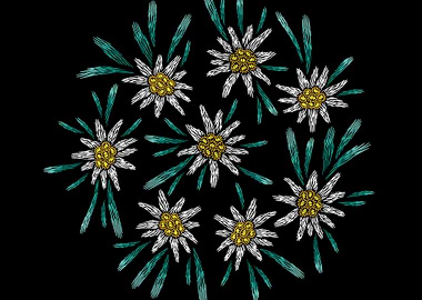 EmbroideredFlow onBlack 09