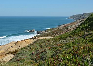 Dunes in Foz de Arelho