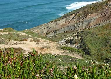 Dunes in Foz de Arelho