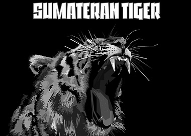 sumateran tiger
