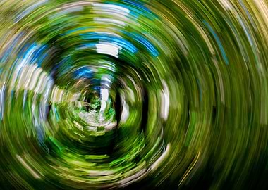 Forest motion blur 5