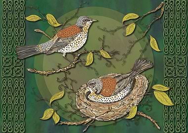 Nesting Birds Fieldfares