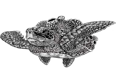 Saving a piece of Home