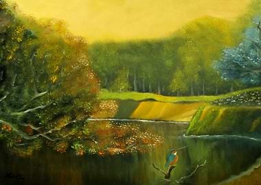 The bird is on the lake