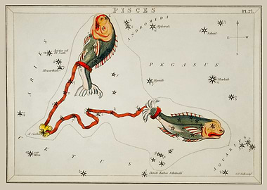 Pisces