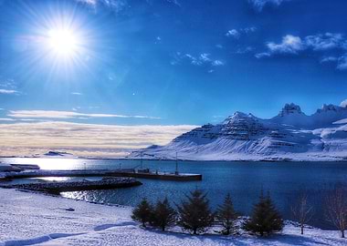Icelandic Harbor