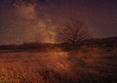 Purification process