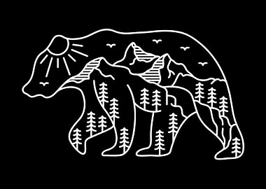 The Adventurous Bear