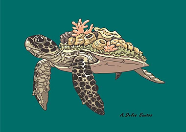 Sea turtle 4