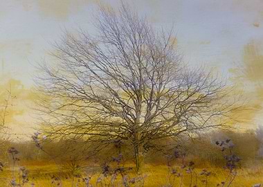 Vintage countryside tree