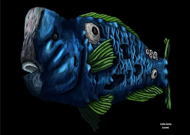 Hump head parrotfish