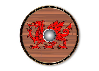 Round Celt Shield