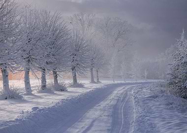 Winter road landscape