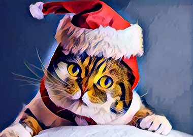 Christmas Hat Cat