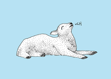 Exasperated Lamb